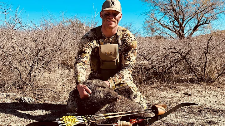 Arizona Javelina with a Recurve