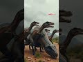 COELOPHYSIS BẦY ĐÀN ĐẦU TIÊN #animals #trending #shorts #dinasour #net #education