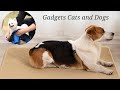 amazing cats and dogs gadgets aliexpress