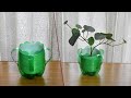 Plastic Bottle turn to Planter | Recycled craft ideas plastic bottles | ASMR