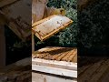 Learn | Grow | Harvest - Griebenouw Bee Farming