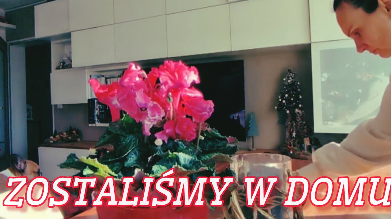 Sylwester w Niemczech 🇩🇪 | Zwykły dzień, psy, domowe przygotowania i fajerwerki