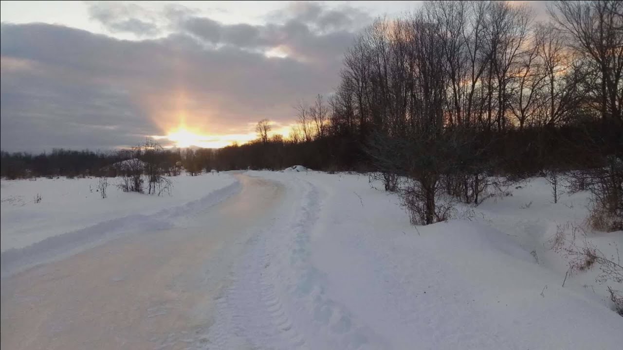 Skating along a wooded trail