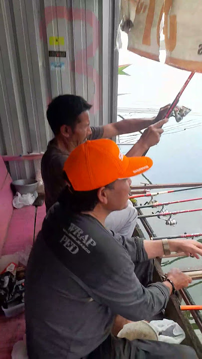 #mancing #mancingnilamonster
