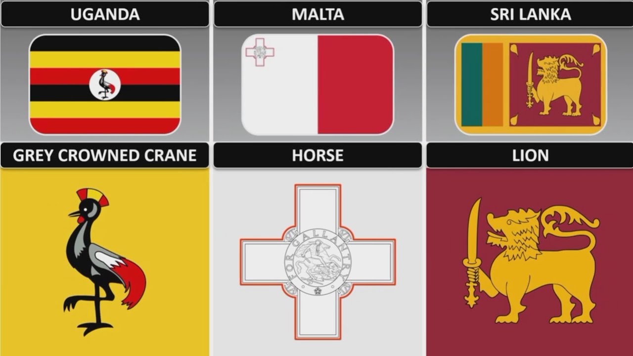 List of Country Flags That Feature Animals on Them
