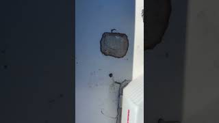 How do I find solar pre wire entry on Dutch Star RV?