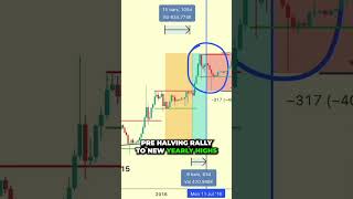 Here’s Why Bitcoin Could Plunge -40% Around its 2024 Halving #bitcoin #shorts #crypto #btcusd