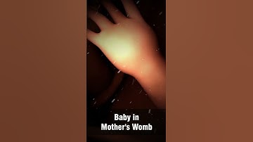 A Baby in Mother