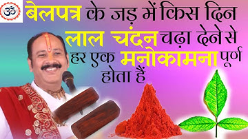 लाल चंदन को किस दिन बेलपत्र के जड़ मे चढ़ा देने से,हर एक मनोकामना पूर्ण होता है ||प्रदीप मिश्रा जी