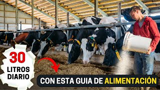 Así es la dieta de una vaca lechera: Guía para la alimentación y nutrición del ganado lechero.