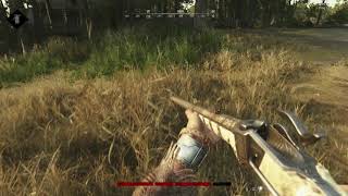Games bug - shadow flickering Hunt