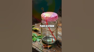 Creating a Homemade Barometer