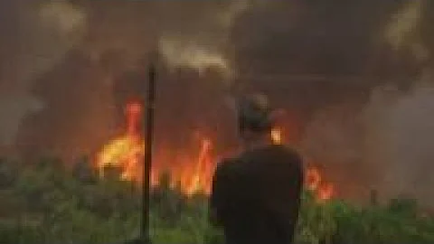 Wildfires predicted to become more frequent, widespread and severe