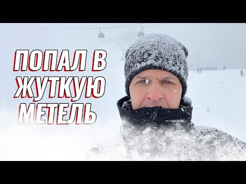 Видео: Парите за японско нашествие струват ли нещо?