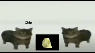 This Is A Chip