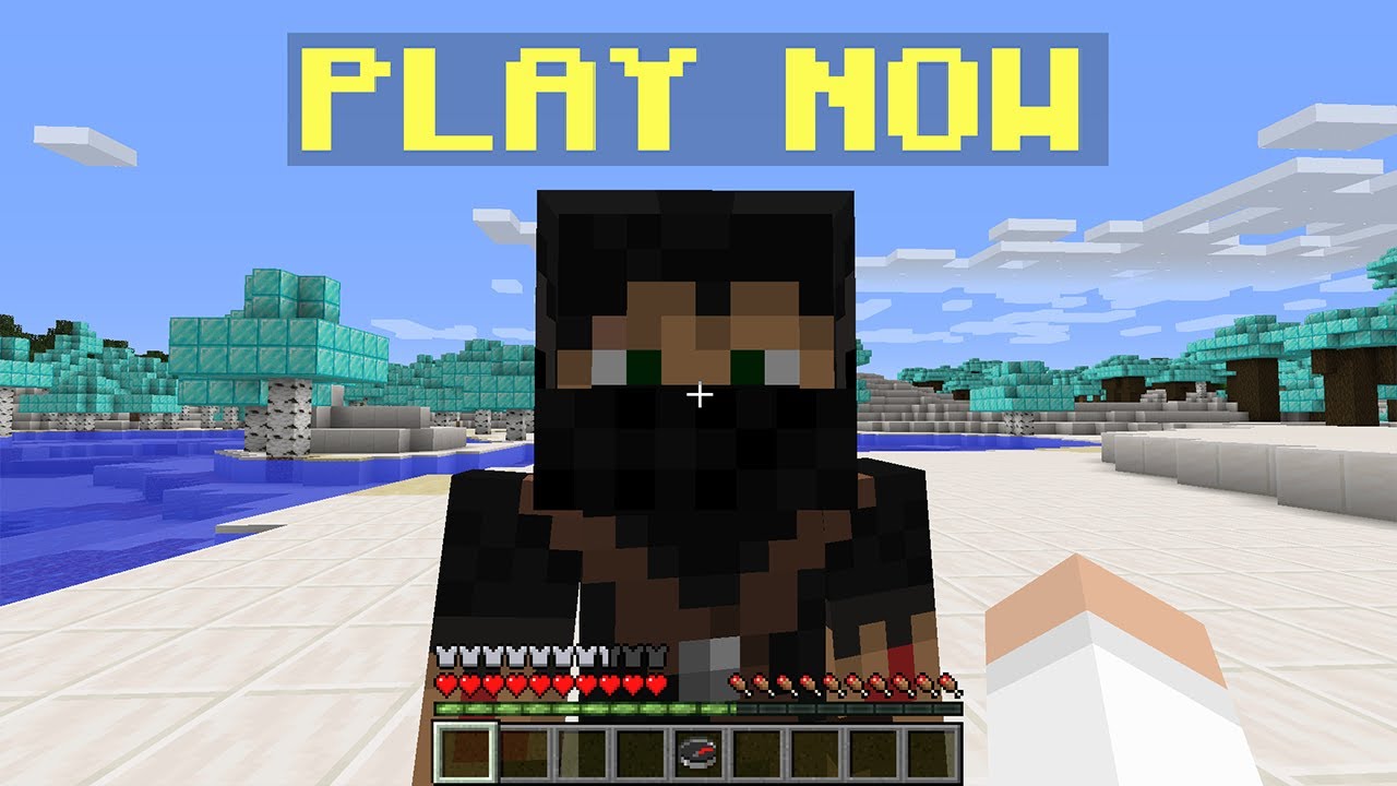$1000 Minecraft Server.