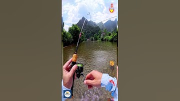 Bộ cần câu Lure cá suối #taphoadocau #fishing #caucathugian #fishinglife #dammecauca #cauca