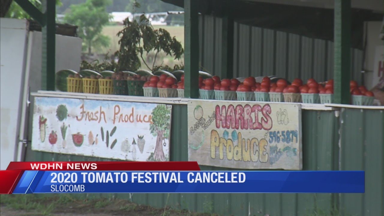 2020 Tomato Festival canceled this June YouTube