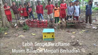 Paling Rame Lomba Merpati Episode 13
