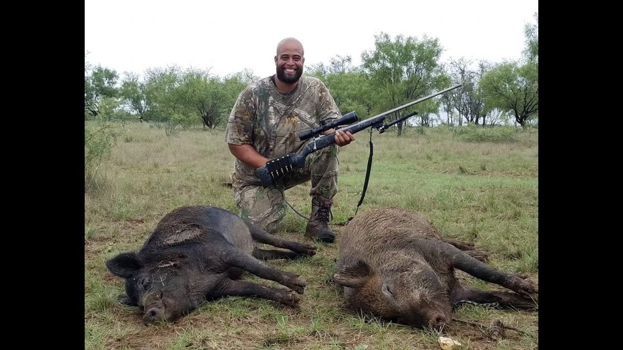 Hog Hunting / 300 Remington Ultra Magnum Drops 2 Hogs.