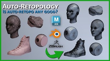 Automatic Retopology: Is It Any Good?