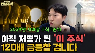 [인생주식]2024년 사야할 아직 저평가 된 '이 주식' 120배 급등합니다(저평가대장주, 저평가주식)