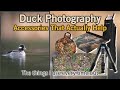 Duck Photography Accessories (They Work)