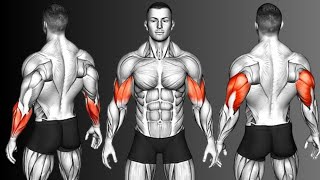 ✅ Get THICK Arms 6 The Best Guide you'll ever see