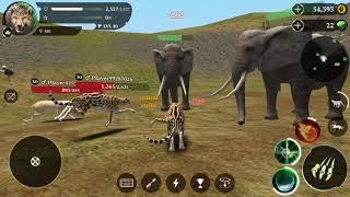 The Cheetah Online Simulator screenshot 5