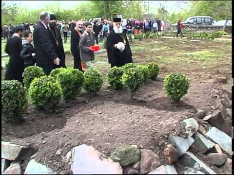 მარაბდა! გამწვანების აქცია