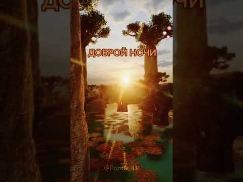Доброй ночи и сладких снов!
