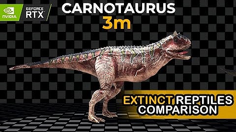 Extinct Reptiles Size Comparison | 3d Real Scale
