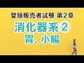 【登販試験2-2】消化器系②胃、小腸