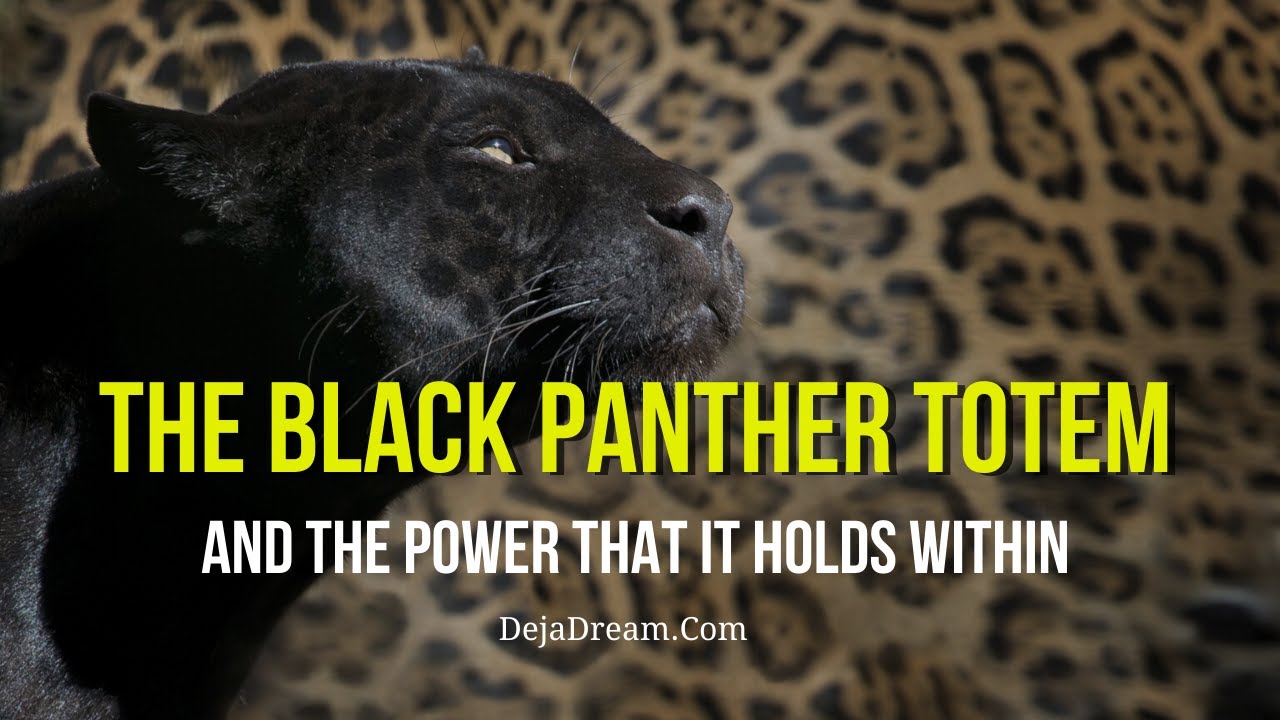 The Black Panther Totem And The Power That It Holds Within YouTube