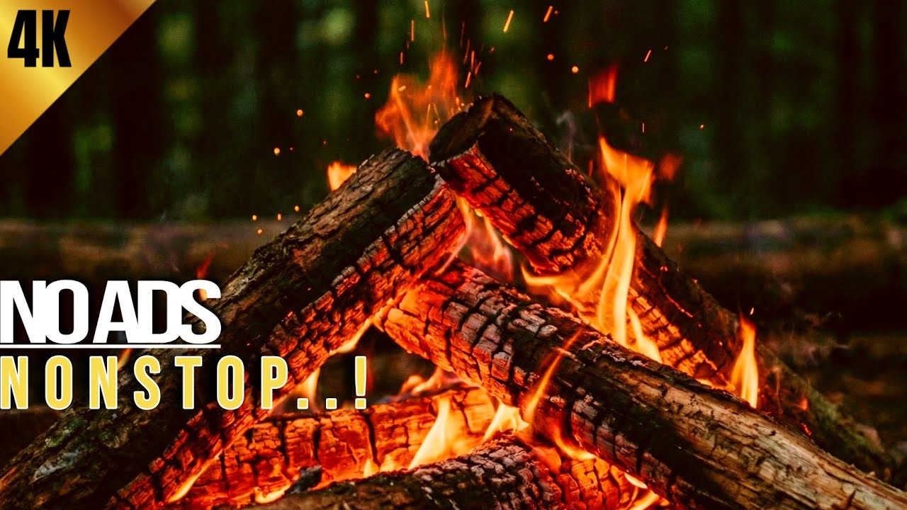 🔥 Beautiful Fireplace 4K UHD! NO ADS!!! | Forest Fireplace Ambiance perfect for workspaces and cafes