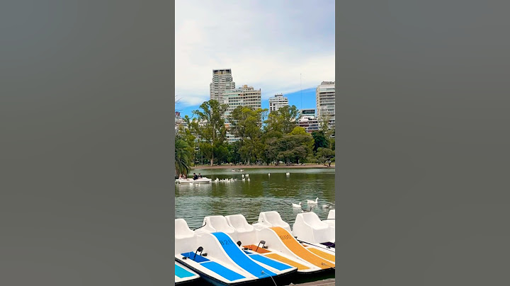 A peaceful lake in Palermo: boats, nature, and city vibes! 🌿🚣‍♂️ #BuenosAires #Palermo #Travel