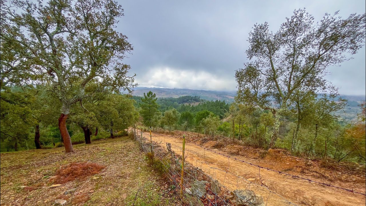 En VENTA finca rústica en Navahermosa (Galaroza, Huelva) 43.000€