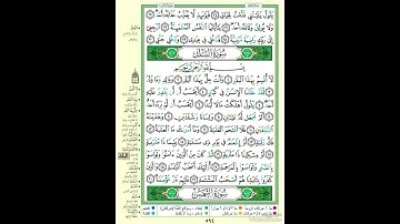 الصفحة ٥٩٤ من القرآن الكريم...القارئ د.بريك سعد بريك