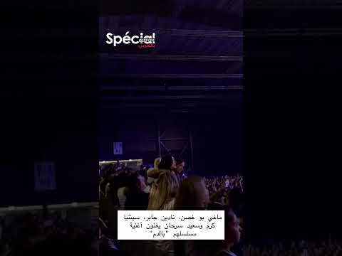 ماريلين نعمان ماغي بو غصن سنتيا كرم نادين جابر بالدم حفلات صيف 2025 مش نفس الشيء لبنان2025