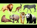 Животные для детей часть 9 | Учим названия и звуки Животных | Животные в Мире | Как Говорят Животные