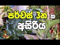 පර්චස් 3 නක අසිරිය  | Rividina Arunella | Agriculture | Home Garden | Best Clips