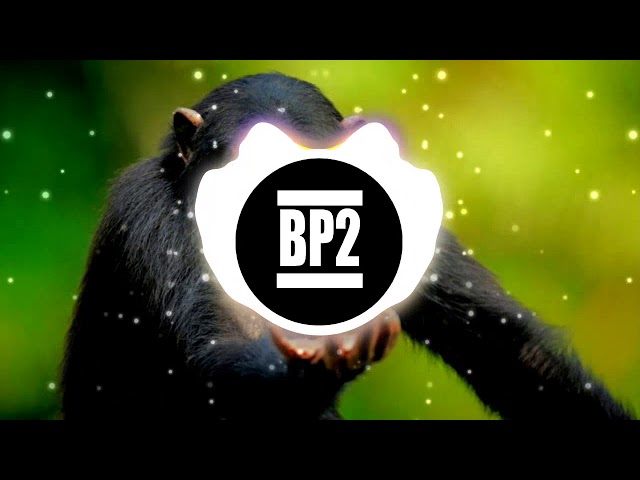 TONES & I - Dance Monkey (GACHY Bootleg) | BP2 | [Clean Bassboost] [EXTREME] | House class=