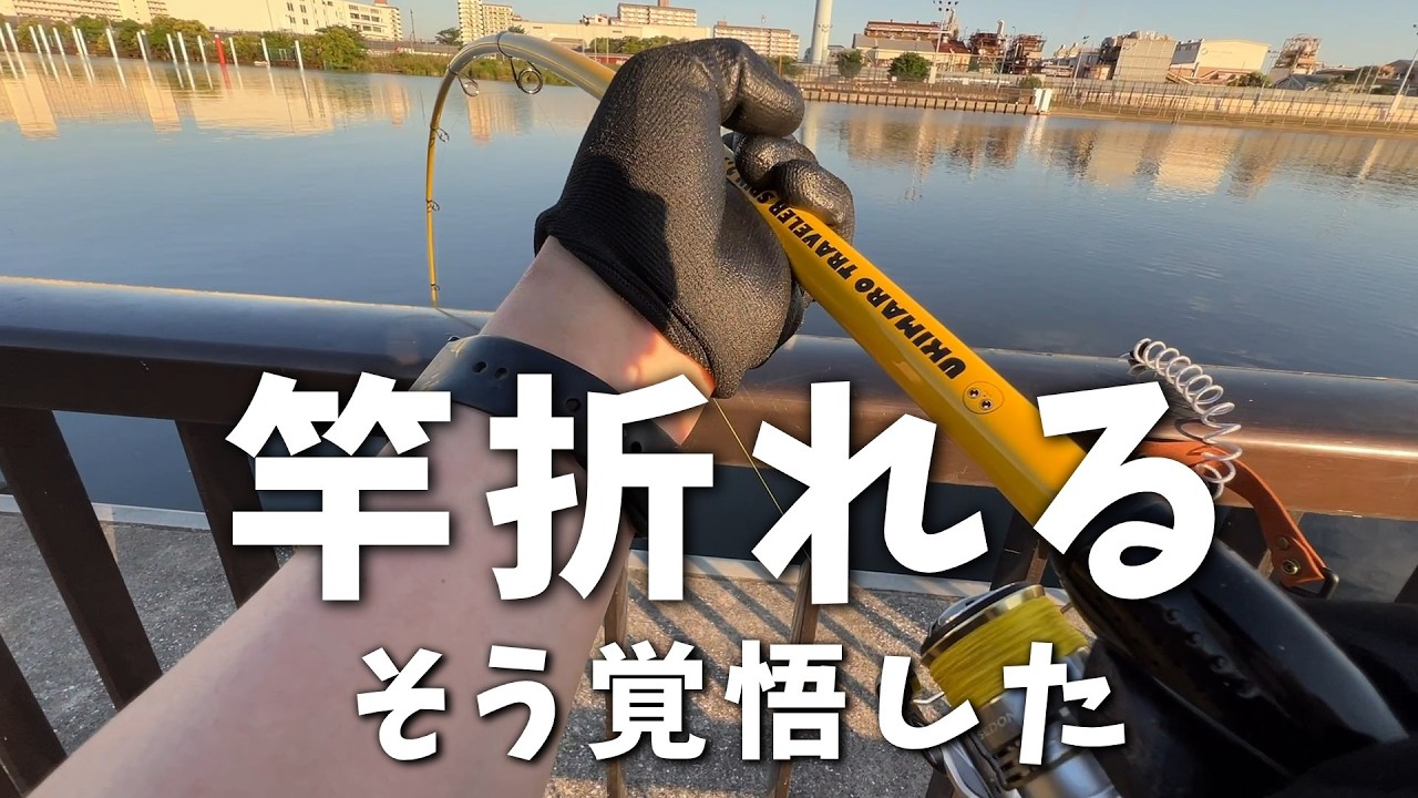 市川でちょい投げ釣り】ちょい投げ初心者を襲った恐怖のしなり - YouTube