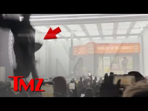 Drake Fan Falls From Balcony During Apollo Concert, Videos Show | TMZ