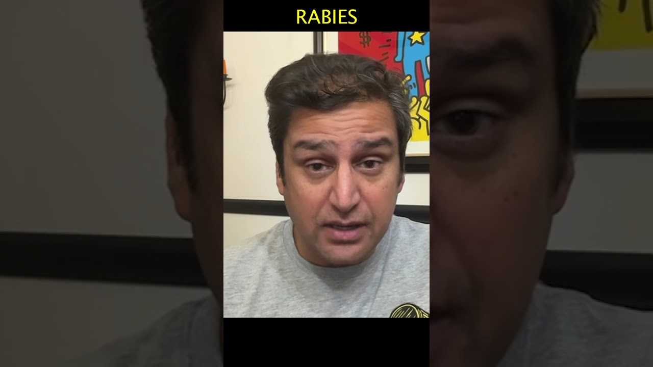 Rabies Explained: Virus, Symptoms, and Prevention 2025