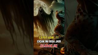 CICAK JELMAAN JIN..!! BERIKUT CIRI CIRINYA #faktaislam #shortvideo #islam #cicakcicakdidinding