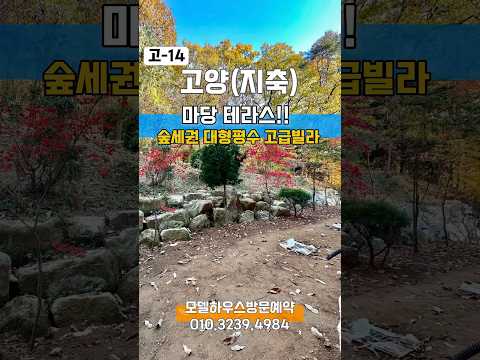 고-14 🌈직영분양 010.3239.4984 🍀지축동 서울10분! 타운하우스 반값! 마당테라스! 고급빌라!