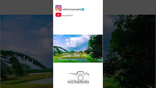 #goprohero #goprolifestyle #gopro9 #shortshorts #natural #nature #naturephotography #weather #shorts