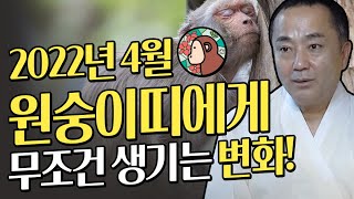 [2022년 원숭이띠운세] 4월 원숭이띠에게 무조건 일어나는 큰 변화 (31세 43세 55세 67세 4월달 …