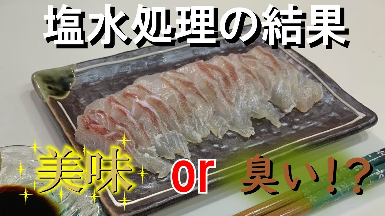 塩水〆汽水域の魚 キビレ を塩水処理して食べる 普段リリースする魚は塩水処理でどうなるか Youtube
